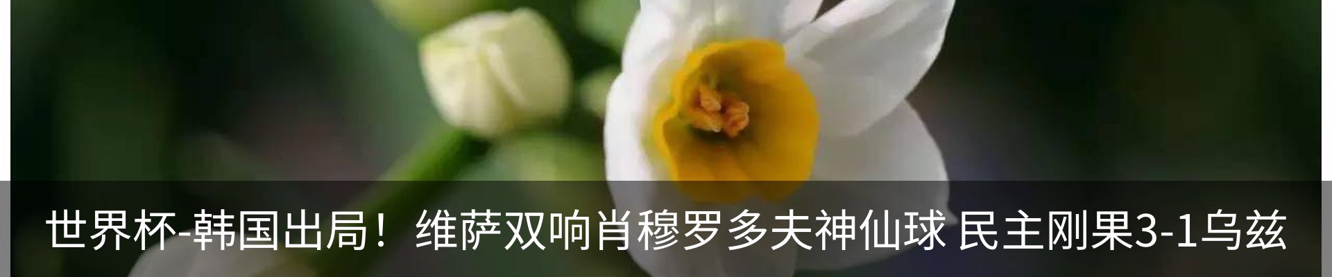 行业资讯